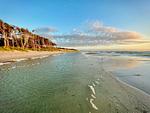 Strandansicht mit Wellen und Bäumen - Boddenräuber 4 - Top-Hundeurlaub