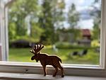 Fensterblick mit Elchfigur in der Ferienwohnung Liljekonvalj in Filipstad - Liljekonvalj - Top-Hundeurlaub
