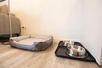 Hundebett - Ankerplatz 3 - Top-Hundeurlaub