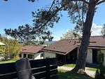 Gartenblick - Haus 34 - Top-Hundeurlaub