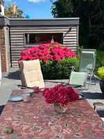 Terrasse - Ferienhaus Ostsee Hideaway Maasholm Bad - Top-Hundeurlaub