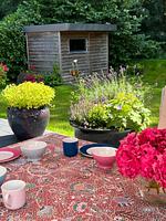 Terrasse - Ferienhaus Ostsee Hideaway Maasholm Bad - Top-Hundeurlaub