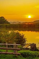 Freizeit- und Campingpark Geesthof - Top-Hundeurlaub