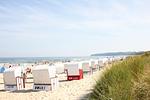 Strand - FeWo Bodden: Terrasse - Top-Hundeurlaub