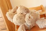 Dekoratives Detail - Haus: Kamin, Garten - Top-Hundeurlaub