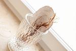 Dekoratives Detail - Haus: Kamin, Garten - Top-Hundeurlaub