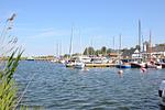 Strand - Haus: Terrasse, Kamin, eigene Sauna - Top-Hundeurlaub