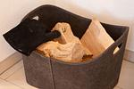 Dekoratives Detail - Haus: Garten, Kamin, Sauna - Top-Hundeurlaub