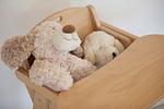 Dekoratives Detail - Haus: Garten, Kamin, Sauna - Top-Hundeurlaub