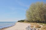 Strand - Haus: strandnah, Kamin, Sauna - Top-Hundeurlaub