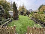 Garten - Ferienhaus "MeerZeit" - Top-Hundeurlaub
