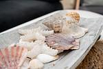 Dekoratives Detail - Montemare 20 - Top-Hundeurlaub
