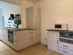 Küche / Küchenzeile - Pension Hirschburg Ferienwohnung 9 - Marlow - Top-Hundeurlaub