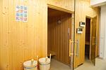 Sauna - Apartment "Wikinger Exklusiv" mit Haffblick und Kamin - Top-Hundeurlaub
