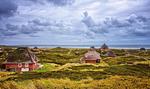 Landschaft - Ferienwohnung Deichkoje 6 Dagebüll - Top-Hundeurlaub