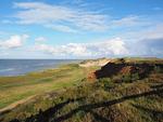 Landschaft - Ferienwohnung Deichkoje 3 Dagebüll - Top-Hundeurlaub