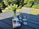 Terrasse - Haus Küstentraum Lüttje Glück - Top-Hundeurlaub