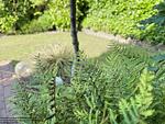 Gartenblick - Haus Küstentraum Lüttje Glück - Top-Hundeurlaub