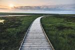 Landschaft - Deichloft 2 - Top-Hundeurlaub