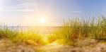 Ferienwohnung Deichblick Zingst Strand - Ferienwohnung DEICHBLICK 200m zum Strand Zingst Darß - Top-Hundeurlaub