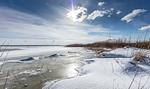 Ferienwohnung Deichblick Zingst Winter - Ferienwohnung DEICHBLICK 200m zum Strand Zingst Darß - Top-Hundeurlaub