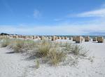 Ferienwohnung Deichblick Zingst - Ferienwohnung DEICHBLICK 200m zum Strand Zingst Darß - Top-Hundeurlaub