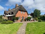 LITZKOW 10805 - Top-Hundeurlaub