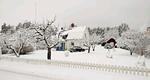 Winteransicht vom Ferienhaus Emil hemma in Småland - Emil hemma - Top-Hundeurlaub