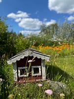 Gartenhaus nahe Emil hemma in Småland - Emil hemma - Top-Hundeurlaub