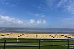 Meerblick - Pacific FeWo 81 - Top-Hundeurlaub