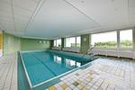 Poolblick - Pacific FeWo 81 - Top-Hundeurlaub