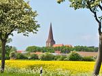 Landschaft - Design Wohnung - Top-Hundeurlaub