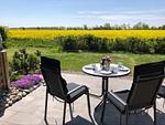 Terrasse - Kieferneck - Top-Hundeurlaub