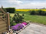 Gartenblick - Kieferneck - Top-Hundeurlaub