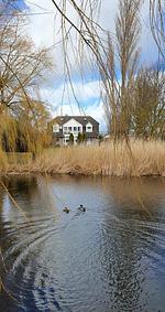 Landschaft - Landhaus - Villa FehAmore - Top-Hundeurlaub