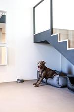 Dekoratives Detail - Landloft 27 - Top-Hundeurlaub