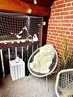 Balkon - Havnkoje - Top-Hundeurlaub