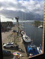 Meerblick - meerHAFEN - Top-Hundeurlaub