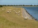 Landschaft - meerHAFEN - Top-Hundeurlaub