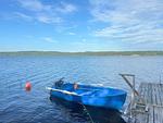 Motorboot am privaten Steg des Schwedenhauses am Ullvettern - Schwedenhaus am See - Top-Hundeurlaub