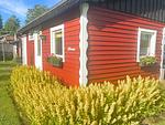 Rückseite des Schwedenhauses am Ullvettern mit Seeblick - Schwedenhaus am See - Top-Hundeurlaub