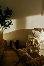 Wohnzimmer - Ferienwohnung Kyst Olpenitz - Top-Hundeurlaub