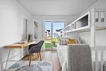 Ferienwohnung Ella Olpenitz - Top-Hundeurlaub