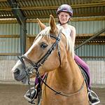 Nurdachhaus Geesthof - Top-Hundeurlaub