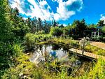 Großer Naturgarten der Villa Clara bei Blankaholm in Småland mit Teich und viel Platz zum Entspannen im Schwedenurlaub - Villa Clara - Top-Hundeurlaub