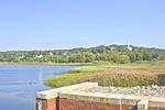 Landschaft - Haus Cottage Garden: Gartenblick - Top-Hundeurlaub