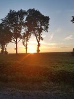 Strandresidenz Vogelflug App.11 - Top-Hundeurlaub