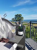 Strandresidenz Vogelflug App.11 - Top-Hundeurlaub