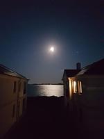 Strandresidenz Vogelflug App.11 - Top-Hundeurlaub