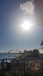 Strandresidenz Vogelflug App.17 - Top-Hundeurlaub